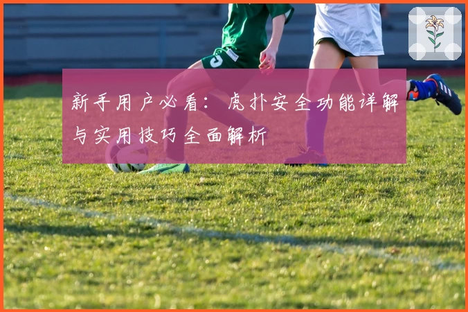 新手用户必看：虎扑安全功能详解与实用技巧全面解析