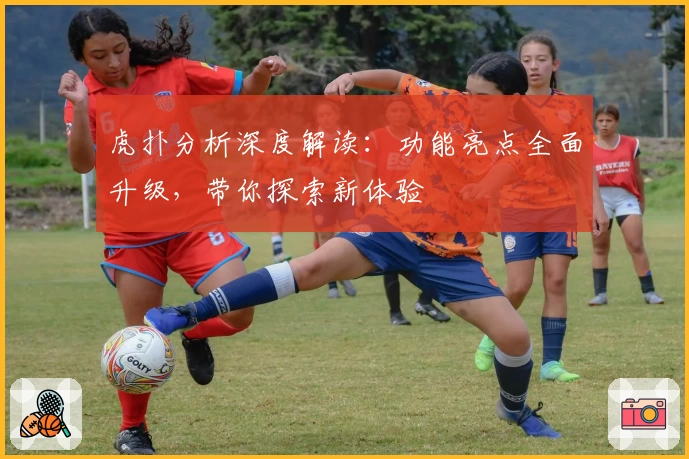 虎扑分析深度解读：功能亮点全面升级，带你探索新体验